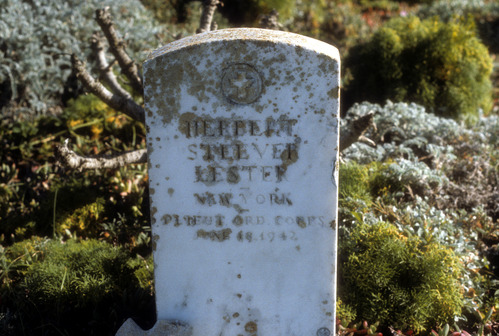Herbert Lester's Grave