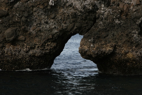 Santa Cruz_20070306_6815