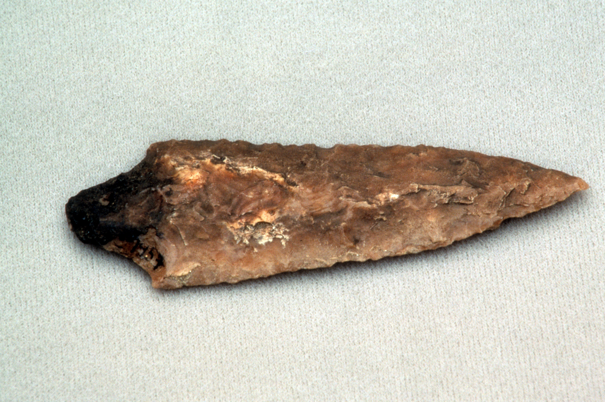 Projectile Point