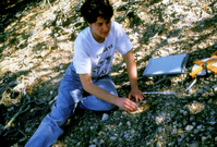 Bishop Pine Screening Project