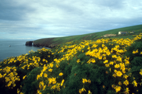 Arch Point in Springtime