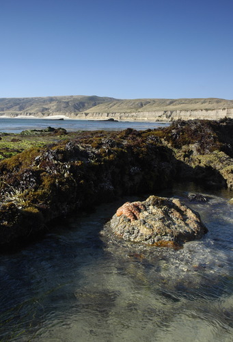 sri-marinelife-kdo - 12