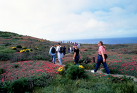 Visitors on Anacapa Trail
