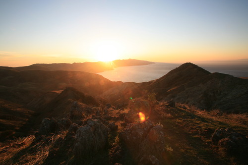 Channel Islands National Park_20070303_6123