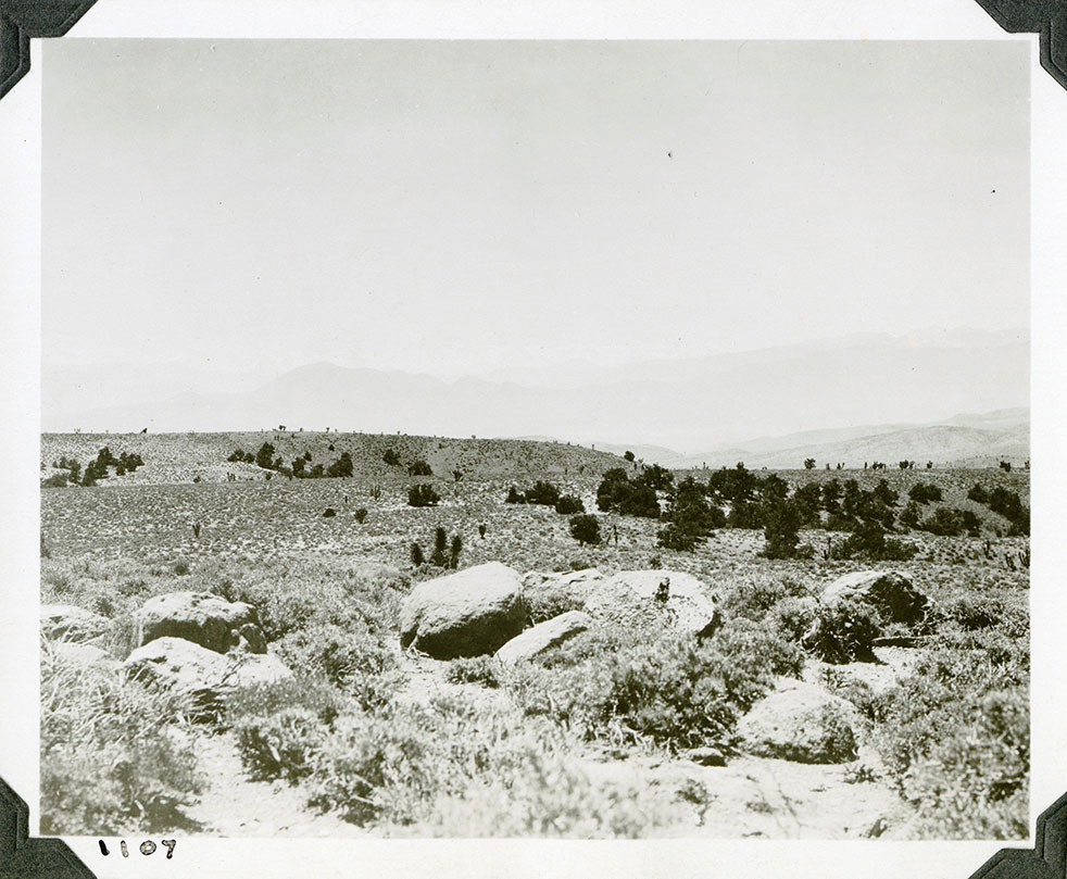 This is an historic black and white photograph from the Scotty's Castle Historic Photograph Collection, Death Valley National Park of a hilltop. Boulders in foreground. Scattering of evergreen trees like Junipers in middle ground. Faint outline of mountains in distance. Number in black ink in lower left corner.