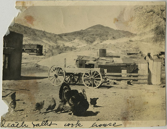 This is an historic black and white photograph from the Scotty's Castle Historic Photograph Collection, Death Valley National Park of turkey and other poultry, corner of future Scotty's Castle Garage / Long Shed / Bunkhouse. Wagon, Chicken Coop area and Cook House in background. Circa 1923.