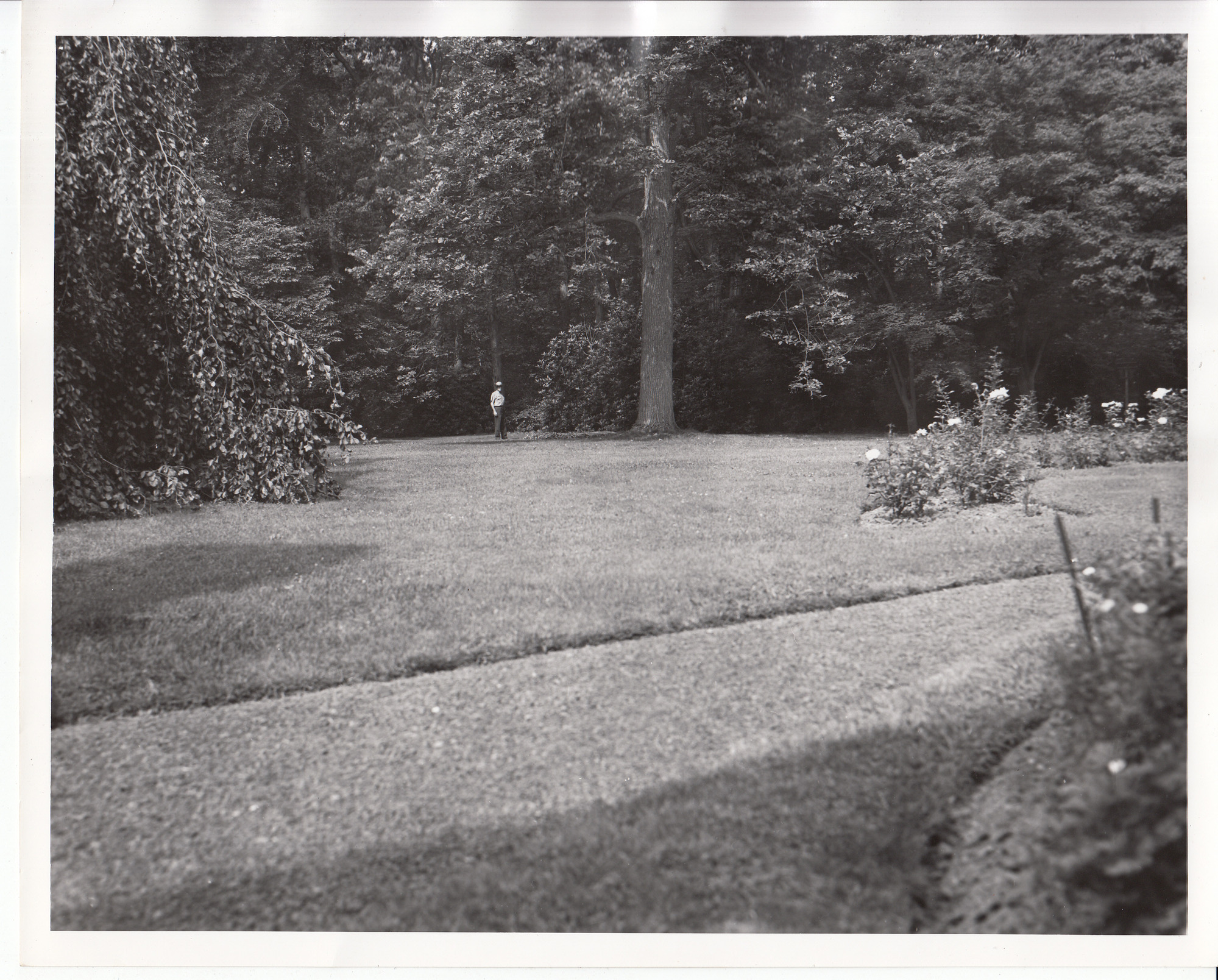 Superintendent Weig standing near graves of Thomas Edison and  Mina Edison at Glenmont, facing West.