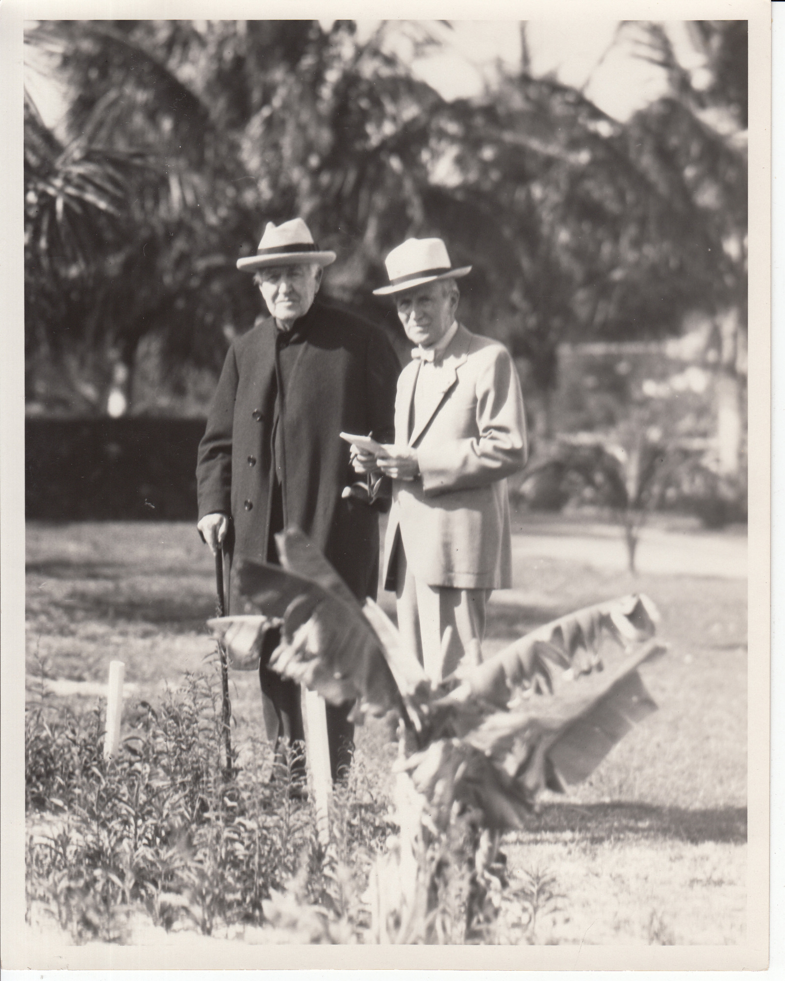 Thomas Edison and Harvey Firestone at Firestone's estate..