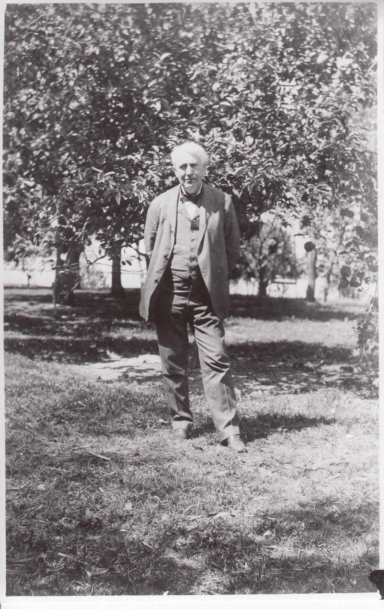Thomas Edison standing under tree at Fort Myers.