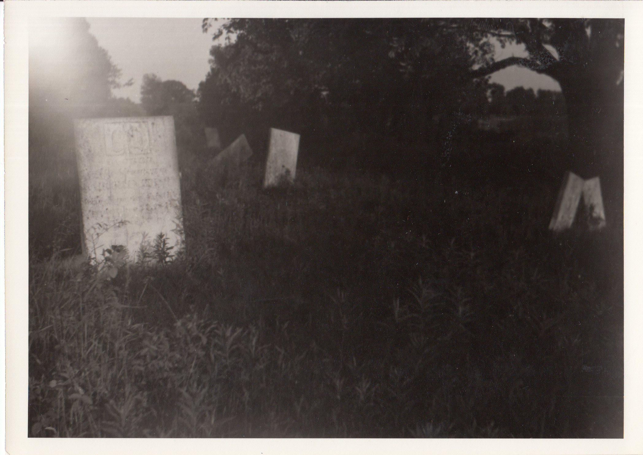 The old cemetery, burial place of Edison family members.