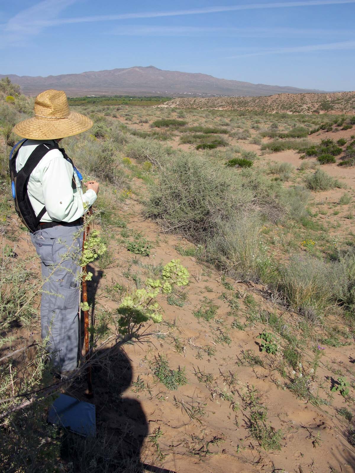 A person in a hat standing in a desert.