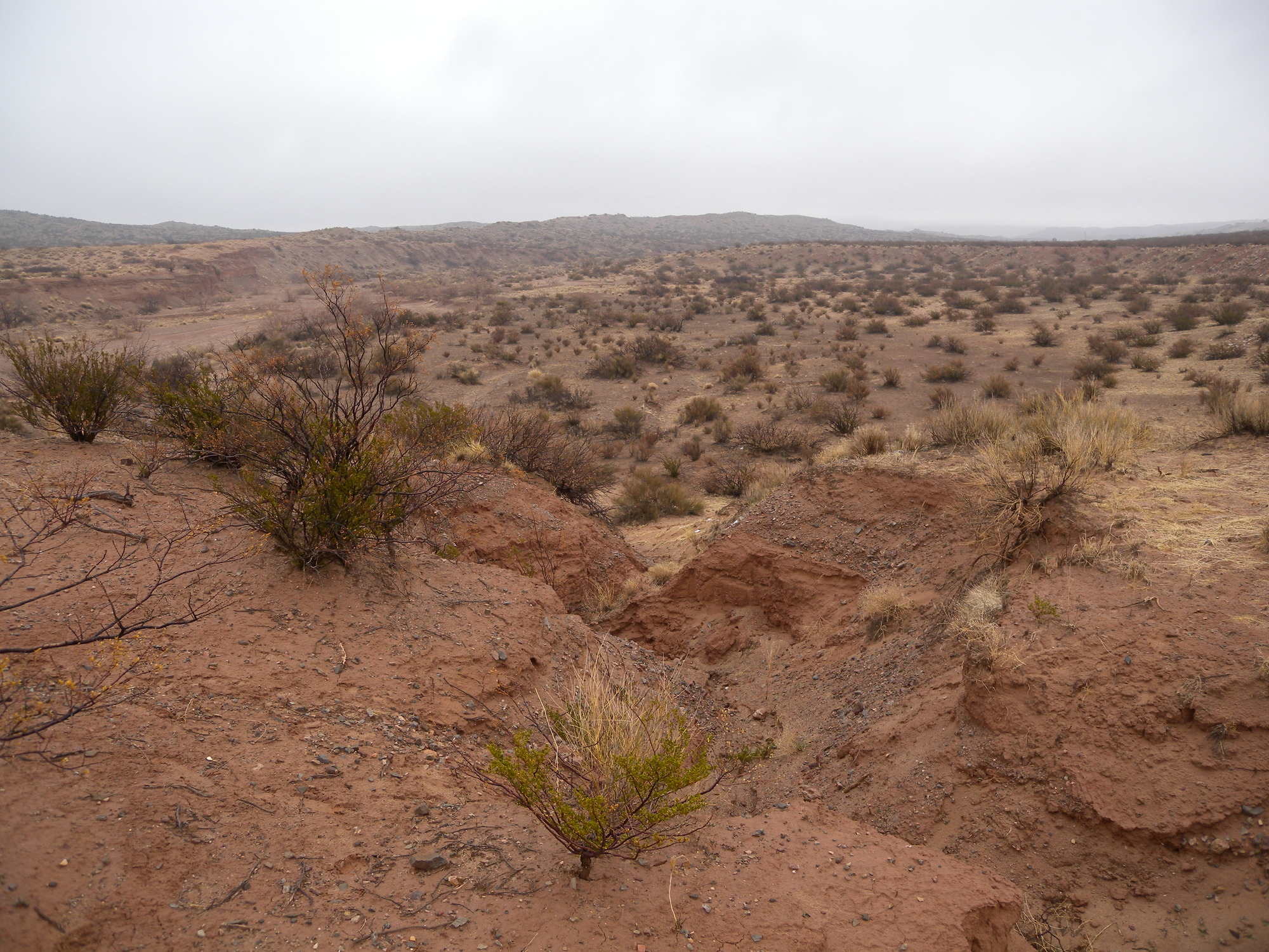 A rocky area in the desert.