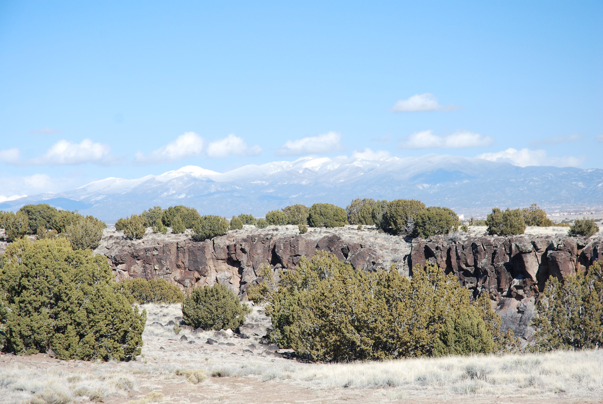 A rocky landscape with trees and mountains in the distance.