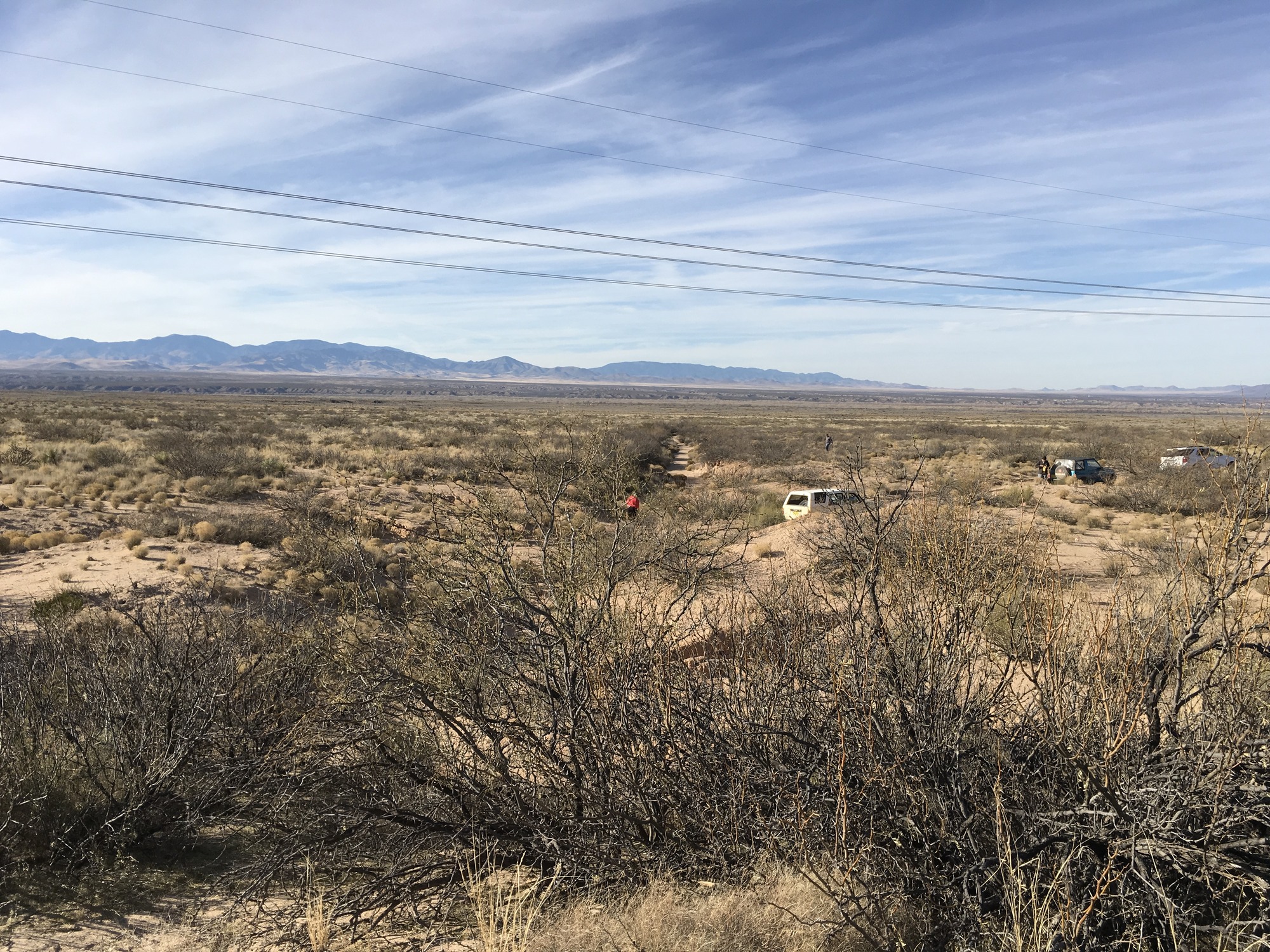 A dirt trail in the desert with bushes and shrubs.