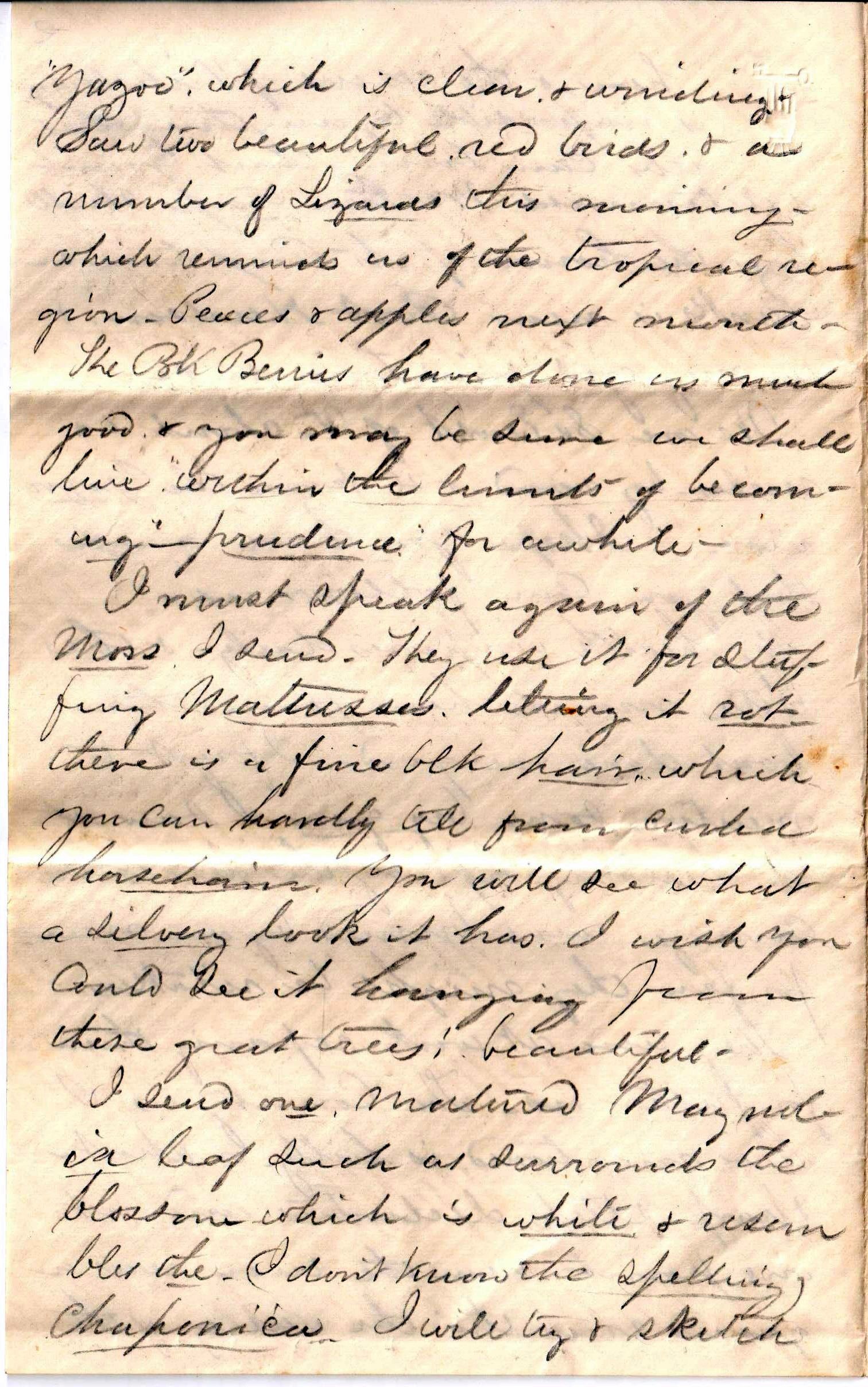 Jerome to Allie, June 17-19, 1863