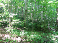 Plot Code: GRSM_AA_0573_5