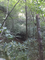 GRSM Accuracy Assessment. Plot Code: GRSM_AA_0278_6