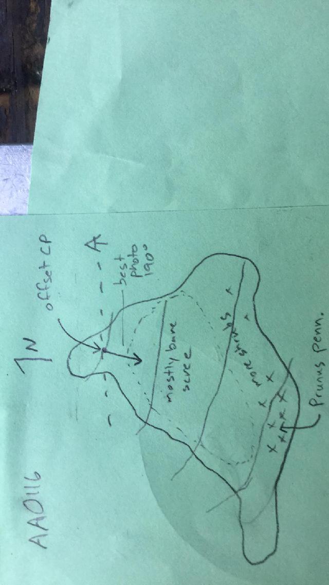 GRSM Accuracy Assessment. Plot Code: GRSM_AA_0116_map