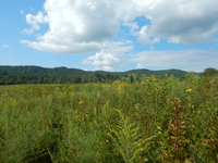 GRSM Accuracy Assessment. Plot Code: GRSM_AA_0585_2