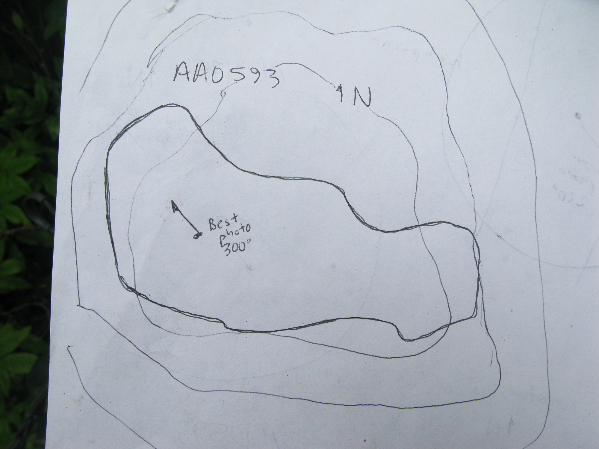 GRSM Accuracy Assessment. Plot Code: GRSM_AA_0593_7