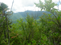 Plot Code: GRSM_AA_0611_4