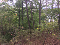 GRSM Accuracy Assessment. Plot Code: GRSM_AA_0433_3