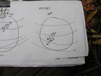 GRSM Accuracy Assessment. Plot Code: GRSM_AA_0880_7