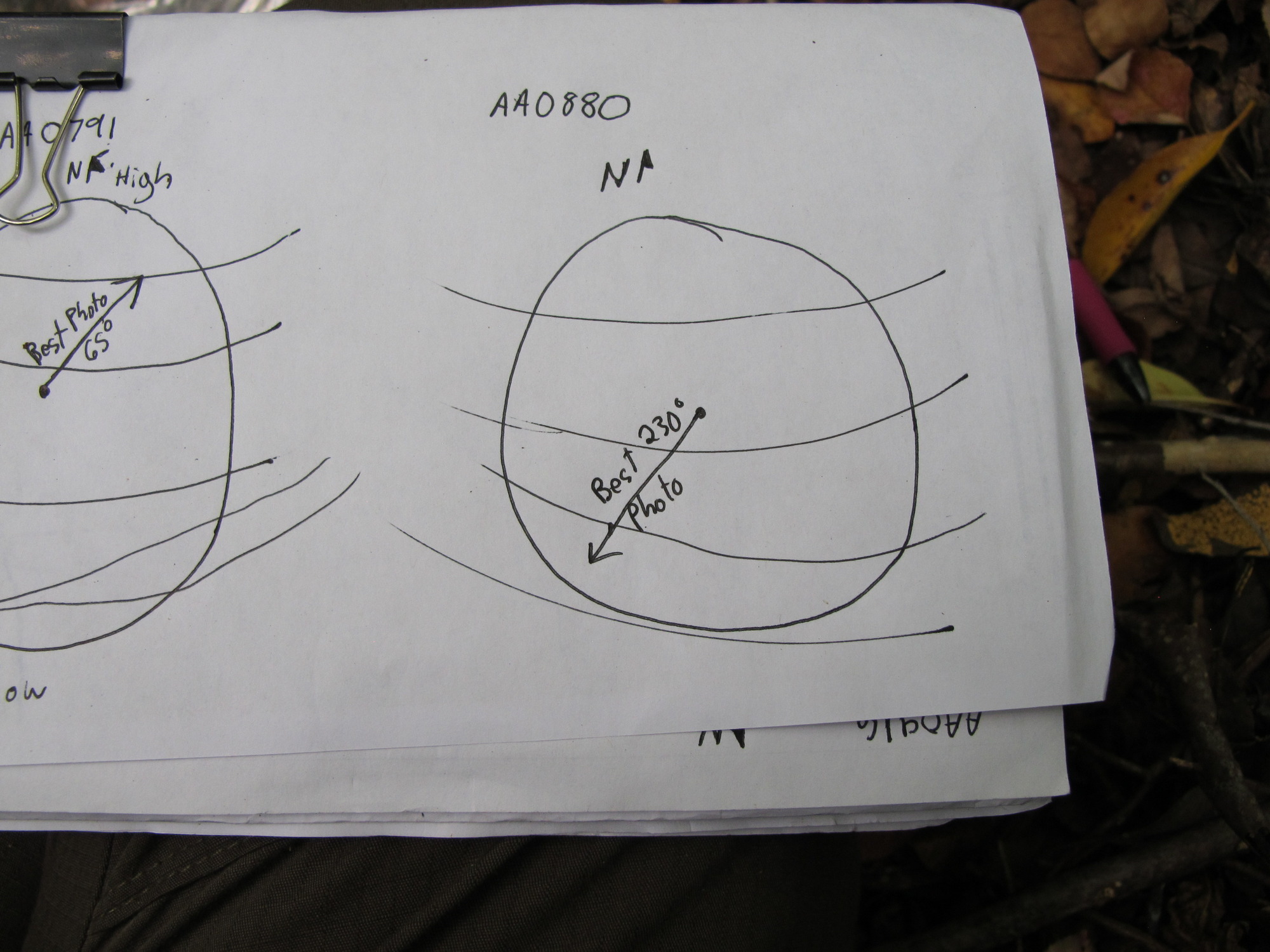 GRSM Accuracy Assessment. Plot Code: GRSM_AA_0880_7