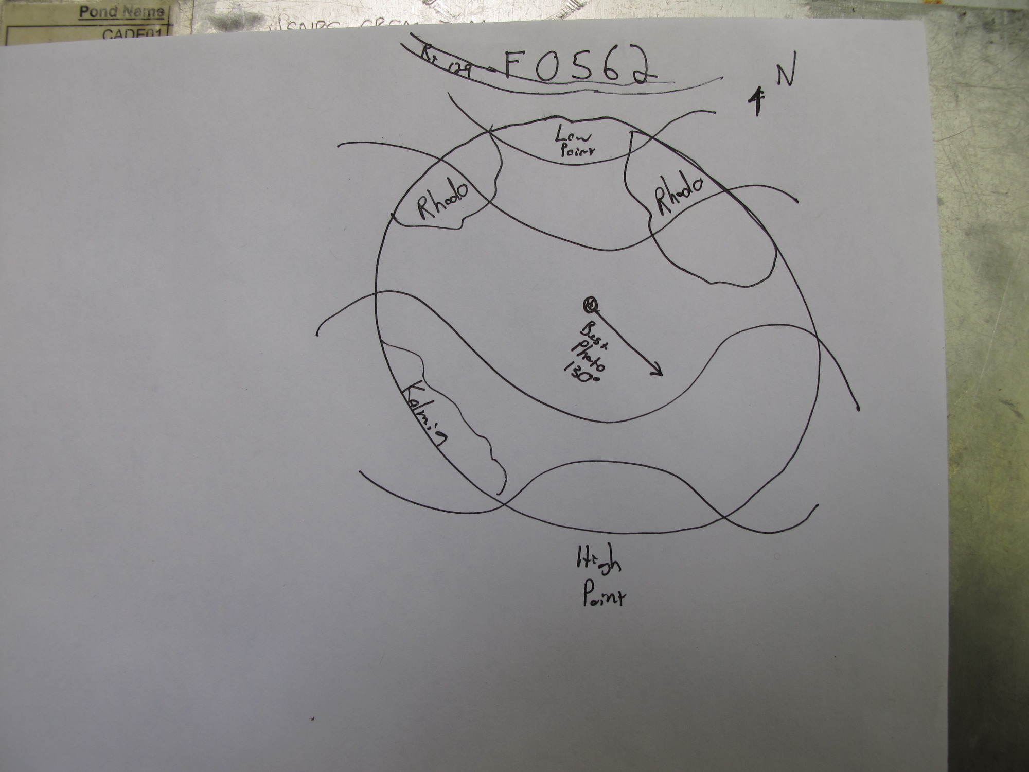 GRSM Accuracy Assessment. Plot Code: GRSM_AA_0562_7