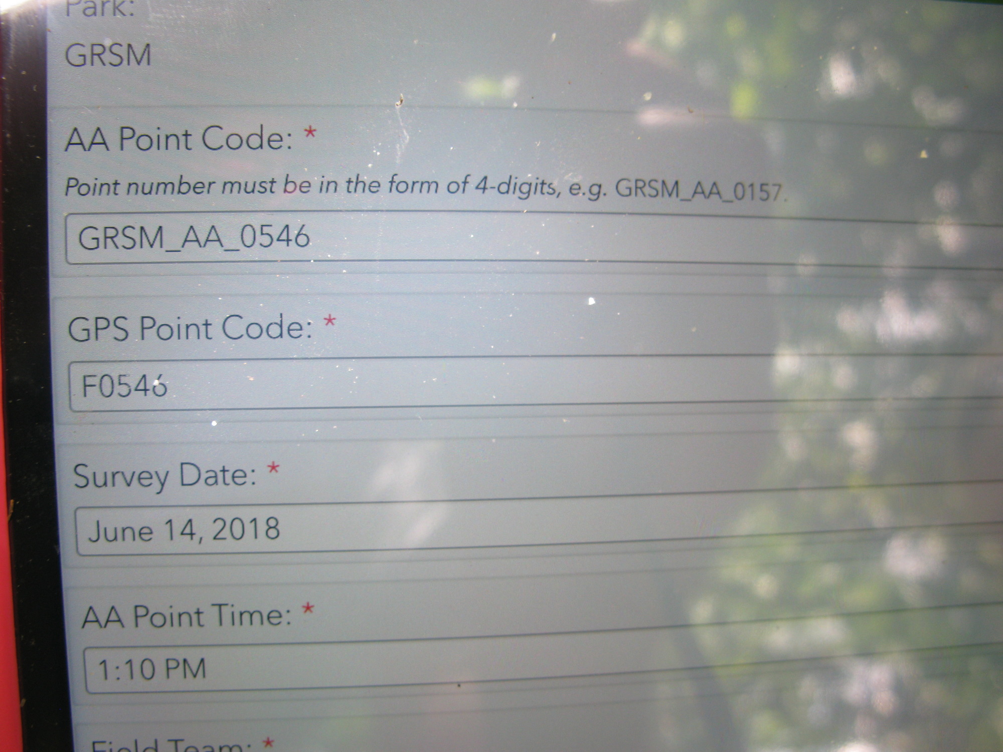 GRSM Accuracy Assessment. Plot Code: GRSM_AA_0546_1