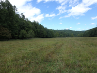 GRSM Accuracy Assessment. Plot Code: GRSM_AA_0093_6