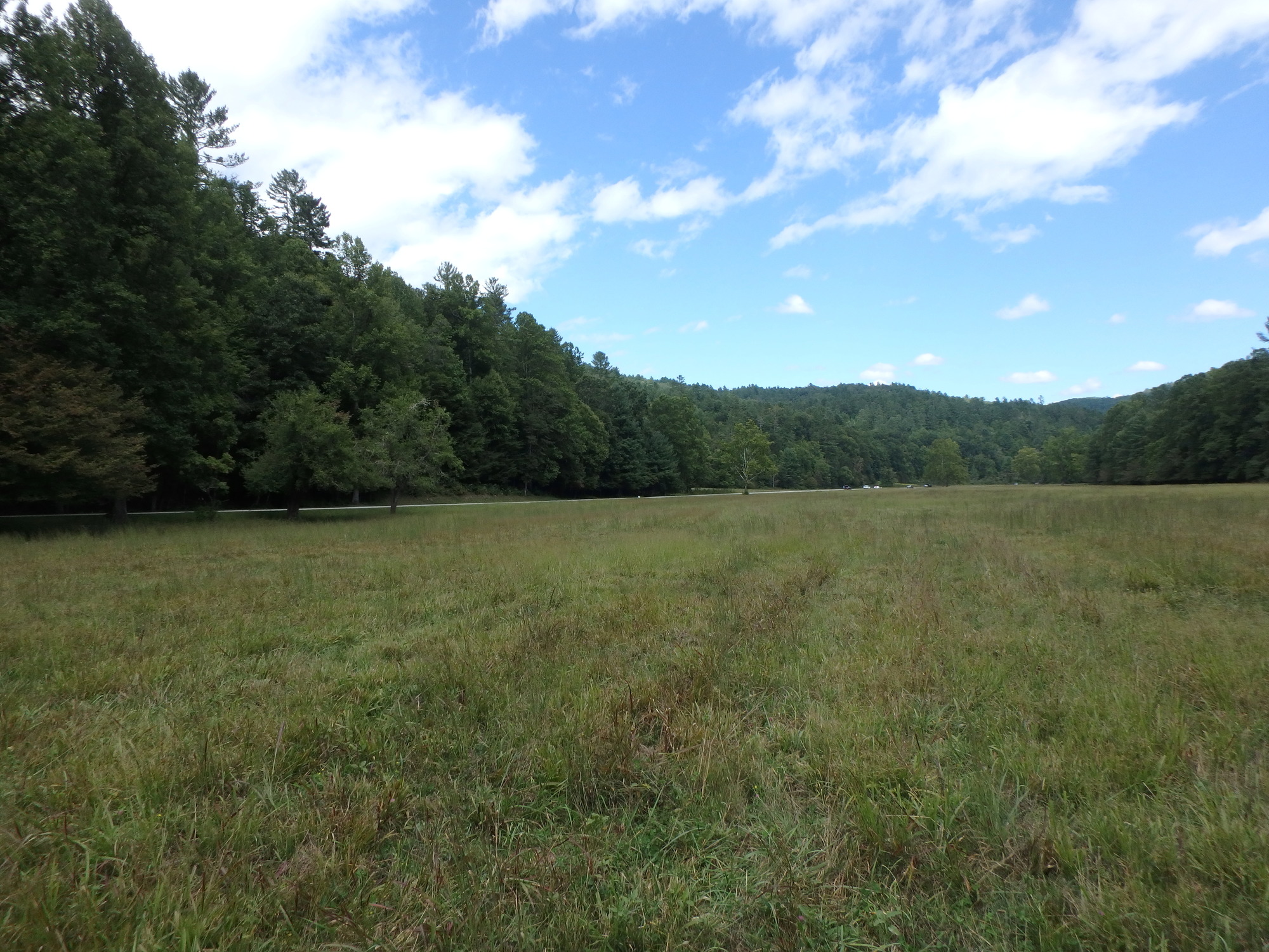 GRSM Accuracy Assessment. Plot Code: GRSM_AA_0093_6