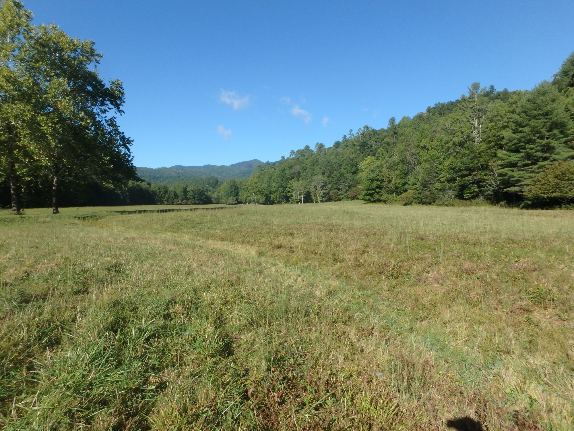 GRSM Accuracy Assessment. Plot Code: GRSM_AA_0064_5