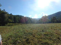 GRSM Accuracy Assessment. Plot Code: GRSM_AA_0064_3