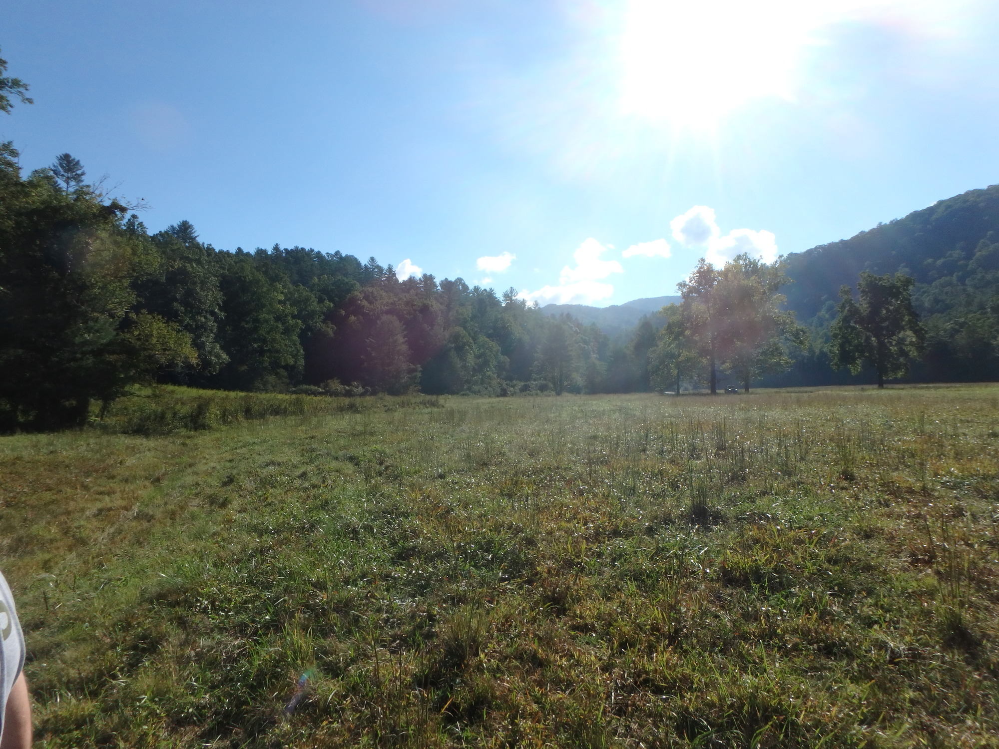 GRSM Accuracy Assessment. Plot Code: GRSM_AA_0064_3