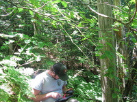 GRSM Accuracy Assessment. Plot Code: GRSM_AA_0101_5