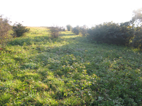 GRSM Accuracy Assessment. Plot Code: GRSM_AA_0305_3