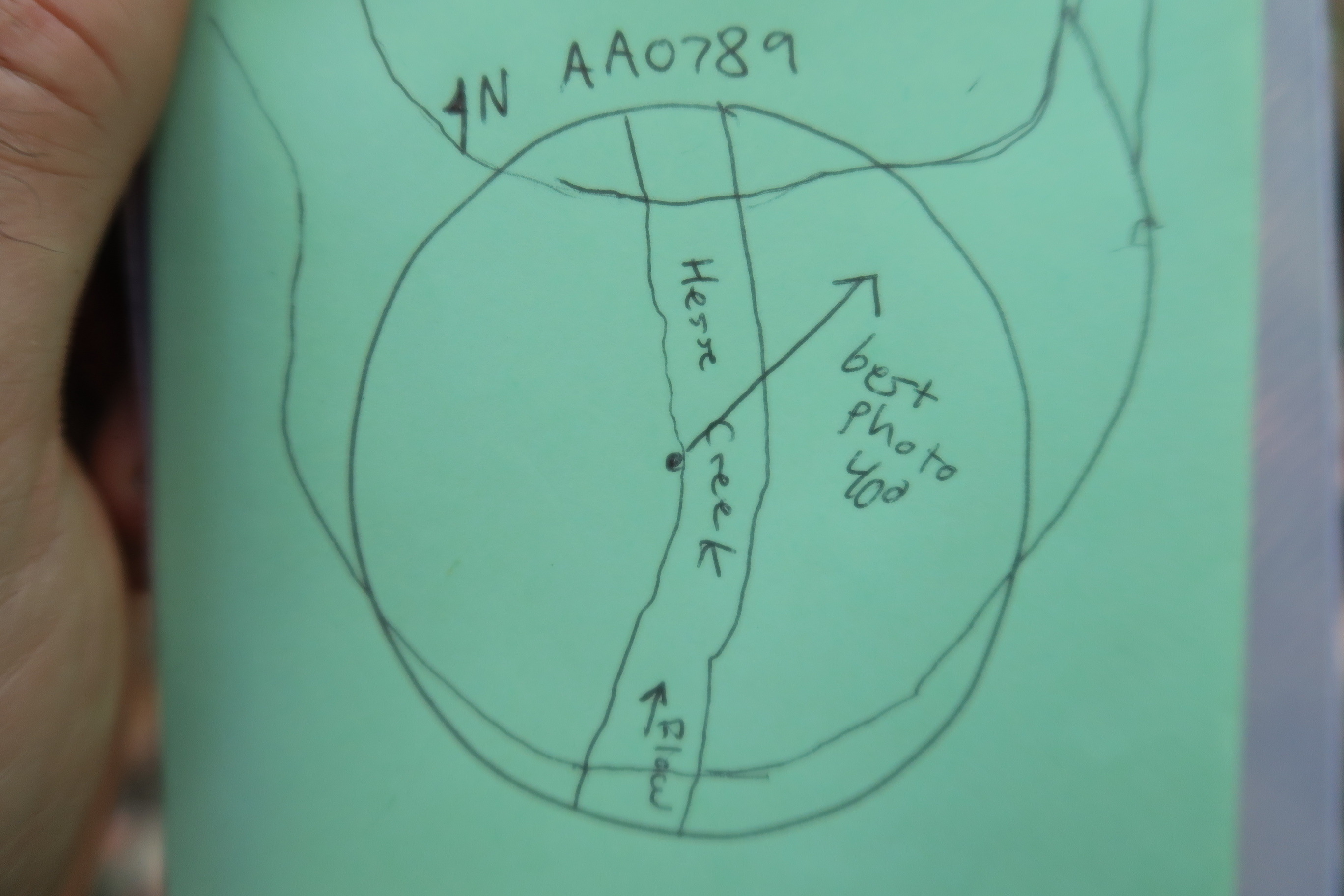 GRSM Accuracy Assessment. Plot Code: GRSM_AA_0789_7