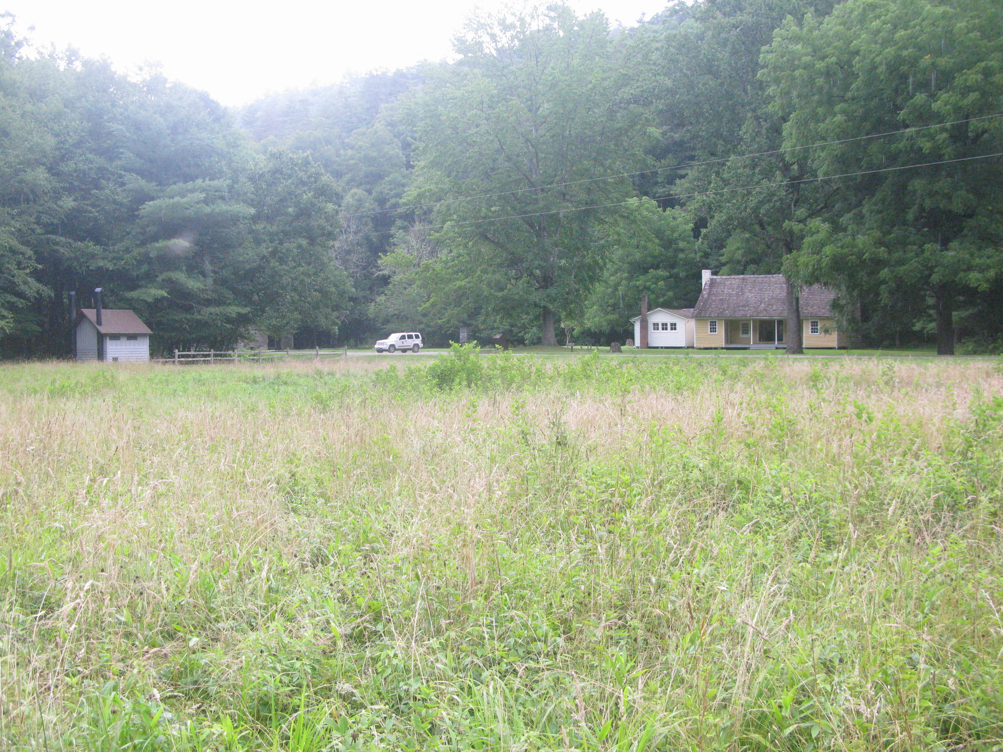 GRSM Accuracy Assessment. Plot Code: GRSM_AA_0730_5