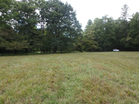 GRSM Accuracy Assessment. Plot Code: GRSM_AA_0093_5