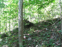 GRSM Accuracy Assessment. Plot Code: GRSM_AA_0047_5