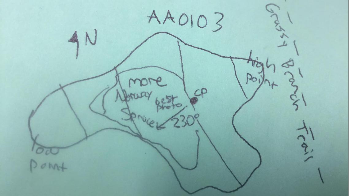 GRSM Accuracy Assessment. Plot Code: GRSM_AA_0103_map