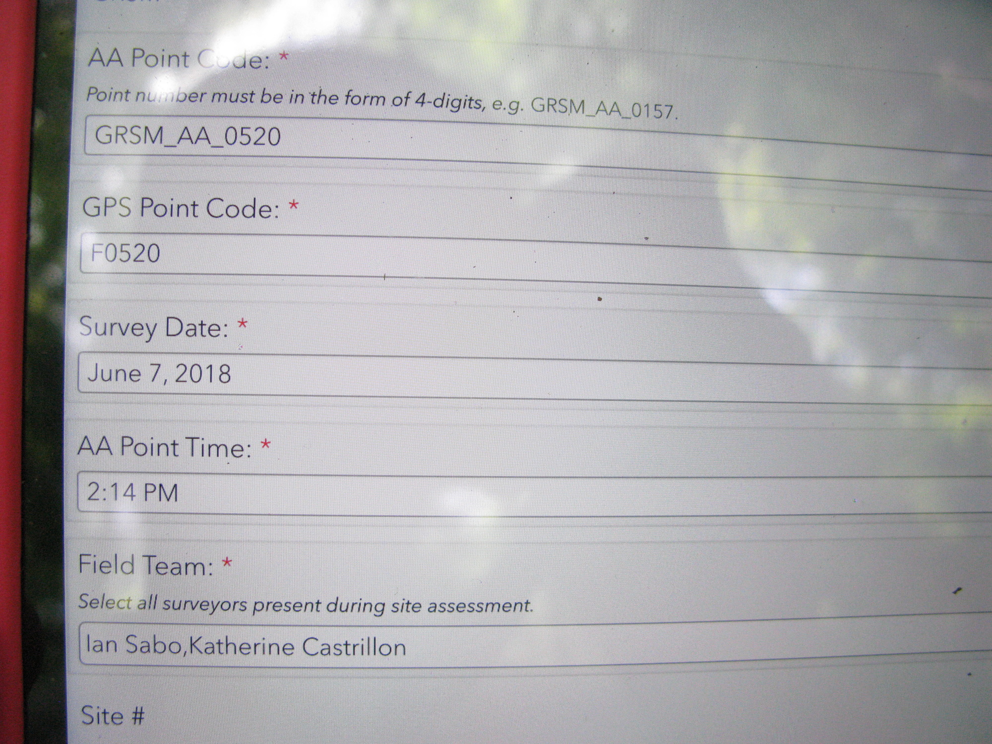 GRSM Accuracy Assessment. Plot Code: GRSM_AA_0520_1
