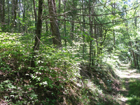 GRSM Accuracy Assessment. Plot Code: GRSM_AA_0868_3