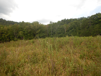 GRSM Accuracy Assessment. Plot Code: GRSM_AA_0633_5