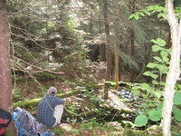 GRSM Accuracy Assessment. Plot Code: GRSM_AA_0151_3