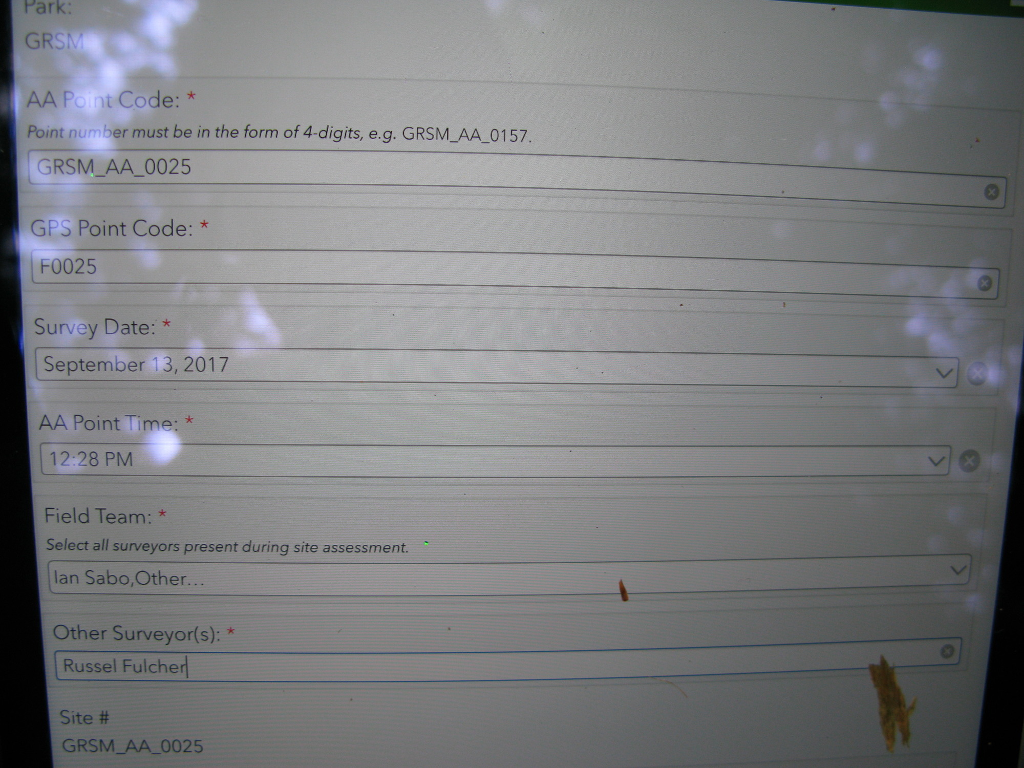 GRSM Accuracy Assessment. Plot Code: GRSM_AA_0025_1
