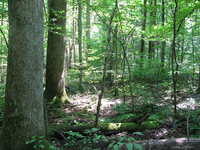 Plot Code: GRSM_AA_0573_3