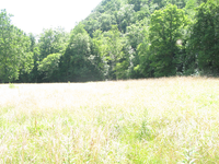 GRSM Accuracy Assessment. Plot Code: GRSM_AA_0741_3