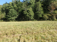 GRSM Accuracy Assessment. Plot Code: GRSM_AA_0064_2